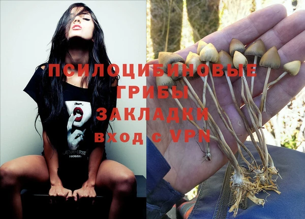 дживик Балахна
